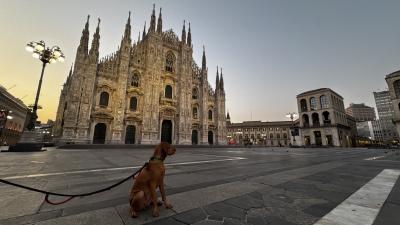 ミラノの観光地を愛犬と早朝さんぽ