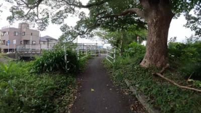 自転車でGO! 沼津・沼川沿いを走る 2025.08.20