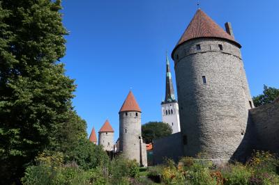 エストニア・タリン紀行　２０２５年８月　７日目