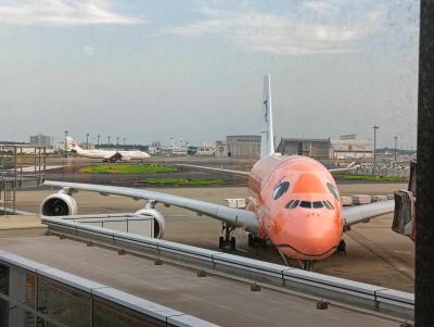 円安でも楽しみたい タイ~アンコールワット その1 チャンギ乗り換えでバンコク