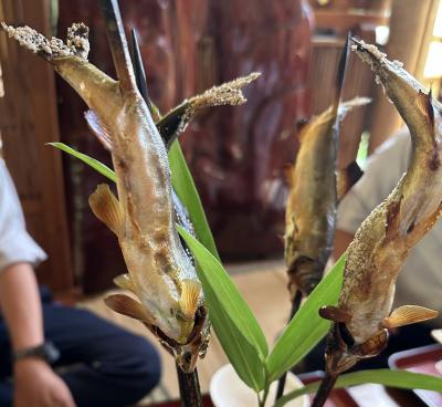 群馬・沼田　3か月間限定営業　鮎づくし料理