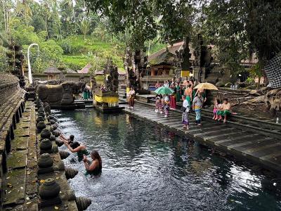 ２０２５年１月　バリ島プルメリア鑑賞ツアー　その２