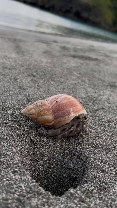 2025.8 父島女1人旅 Day3