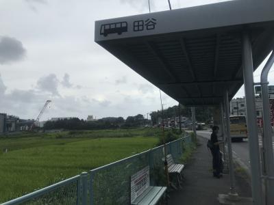 台風の日の田谷の洞窟と江の島