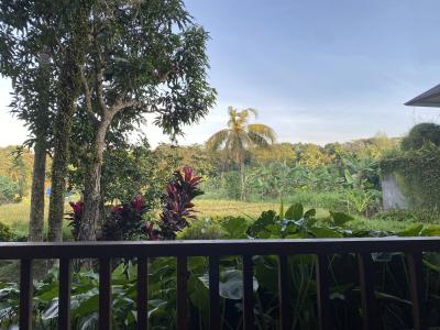 2025年 バリ島③ ウブド散策