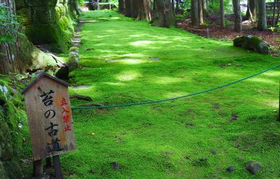 駒ヶ根市駒ヶ根キャンプセンターと光前寺散策
