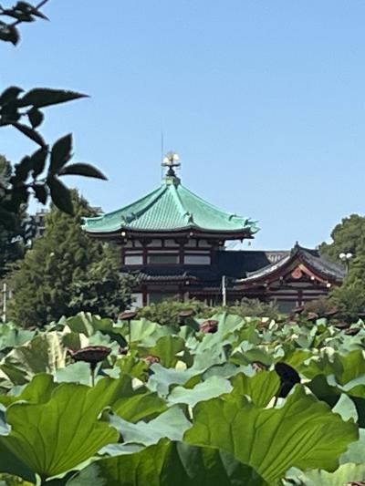 夏の東京をぶらぶら 9月前編