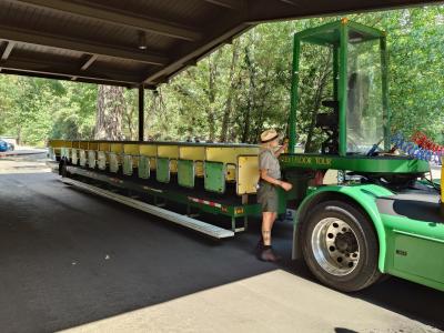 JAL利用、アメリカ国立公園周遊2、ヨセミテ公園編+海外レンタカー事故どうする編(オマケ)