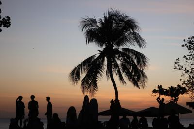 2025 意外に楽しいクタ散歩