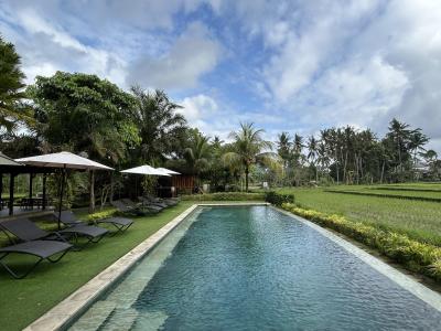 【ウブド】2度目のバリ（1-2日目）