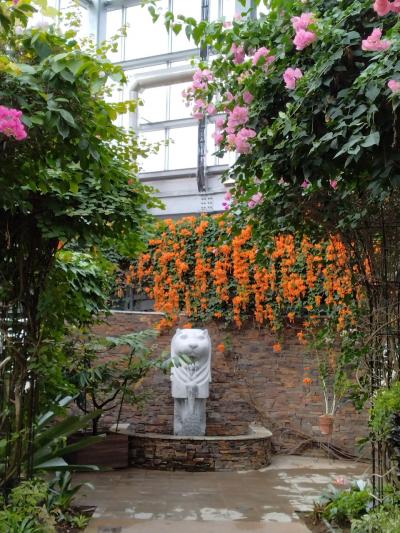 キャンプの季節