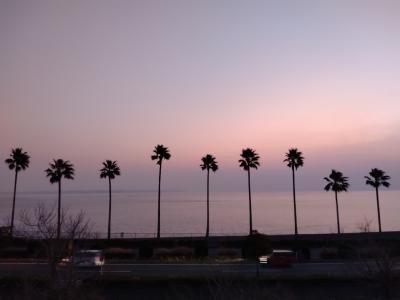 スキーと温泉2025