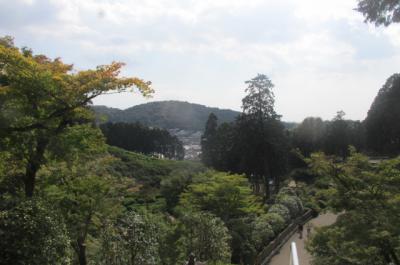 西国巡礼・琵琶湖周遊の巡礼記（４４・最終）三室戸寺の御朱印を頂き、今回の巡礼を終了する。