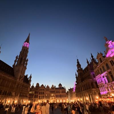 【8/17-9/2】計画を立てながら旅する気ままなヨーロッパ4ヵ国周遊一人旅　(1)出発～ベルギー編