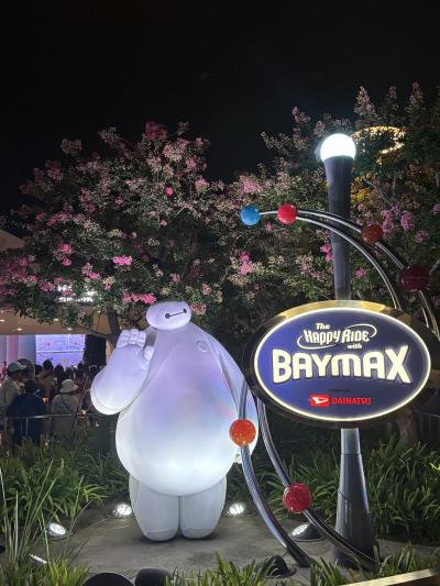 東京ディズニーランドでのんびりインパーク