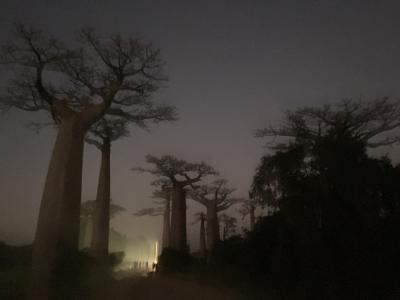 30日間の4日目① 日の出のバオバブ モロンダバの街中