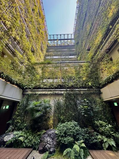 今年も8月の終わりに京都に行ってきました~【前編】