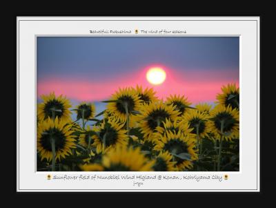 ◆晩夏の郡山・布引風の高原の絶景ひまわり畑" 2025"