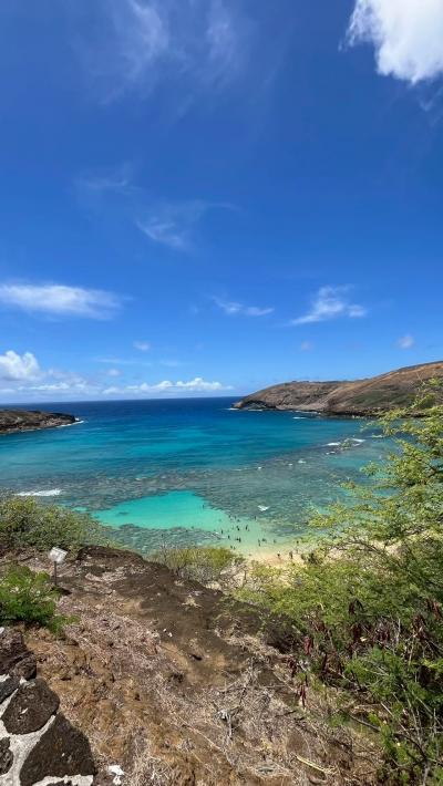 帰ってきた　大家族３泊５日　ハワイ珍道中　2日目　その1
