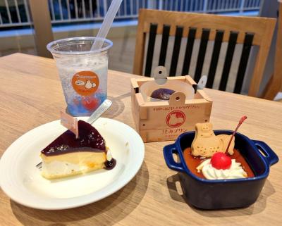 2025年8月　熱海旅行♪熱海城♪熱海後楽園ホテル♪fuua♪熱海プリン♪伊豆フルーツパーク