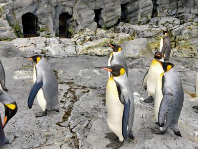 小樽・旭川・札幌　9/2旭川