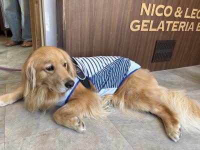 由比ヶ浜のイタリアン名店を訪ねる旅