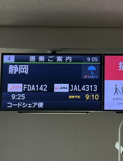 台風15号で予定変更続きだった静岡旅行