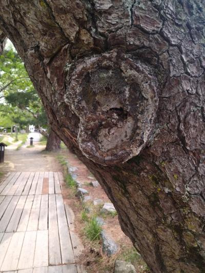 縁結び？　前半