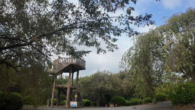 早朝散歩・実相寺から岩本山公園往復 2025.08.29