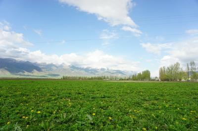 キルギス旅行2019.GW　７・８日目　キルギスのスイス　チョンケミンの村