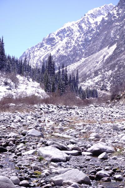 キルギス旅行2019.GW　９～11日目　アラアルチャ国立公園・アジアモール　帰国