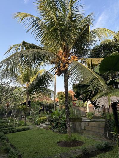 【チェルク村】2度目のバリ（4日目-最終日＆購入品）