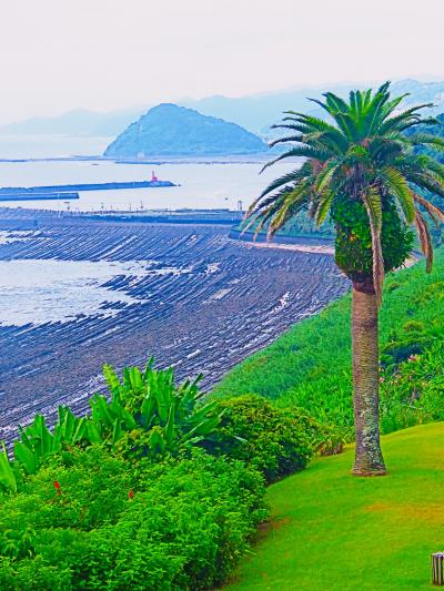 宮崎残暑-8 　堀切峠*日南の絶景　フェニックス/鬼の洗濯板　　☆道の駅　国道220号の旧道