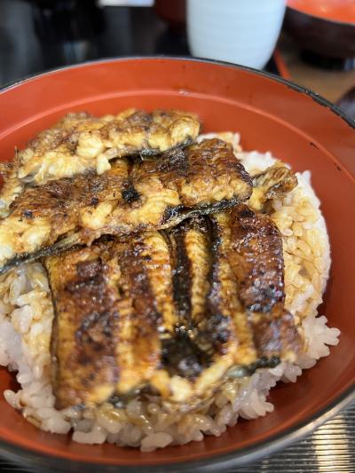 帰省した息子を送ってプチ旅行