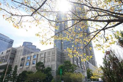 お上りさん・東京へ  2025.09.02 1.都庁にも行きました