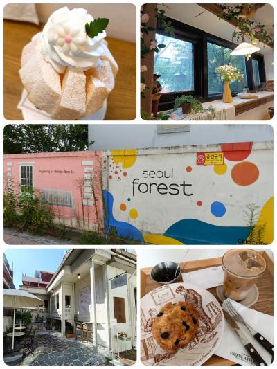 夏のソウルでグルメ&街歩き2025(2)「ソウルの森」