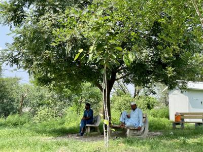 ひとたびはポプラと共に(^^)ガンダーラ遺跡のお勉強