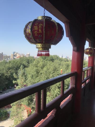 2019年8月キルギス旅行第2弾　７・８日目　ウルムチトランジット観光　※おまけ