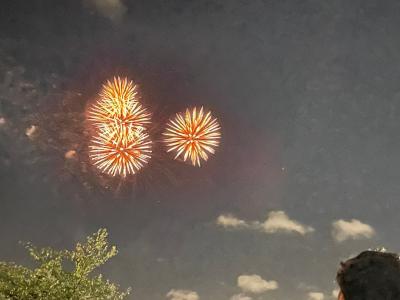 やしお花火フェスティバル2024に行った日