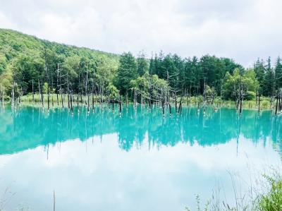 北海道旅行 美瑛・富良野編