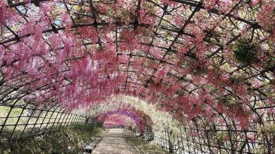 福岡旅行 旦那の実家に帰省編