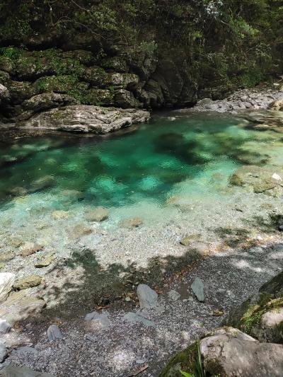 猫探し【高知】仁淀ブルー 編