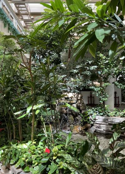 ①マダムの暮らすように旅する福岡9月編　1日目の１　自宅　自宅・・自宅最寄りのバス停＝羽田空港～福岡空港－博多ー小倉