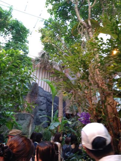 3回目の関西万博②