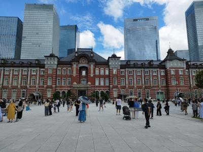 ブルーインパルスを見たい