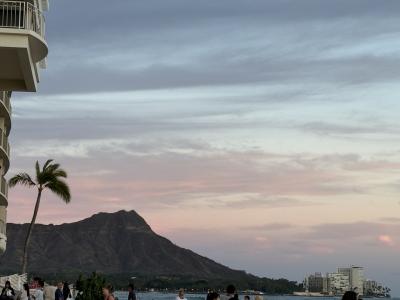 2025年ハワイ旅5日目 KCCファーマーズマーケット ワイキキぶらぶら モンキーポッドでハッピーアワー