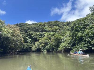 2025夏☆西表島5泊6日旅(2日目 ナーラの滝&マングローブカヤック)