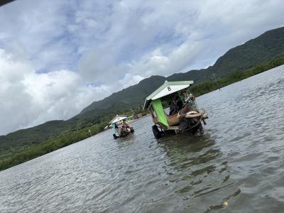 2025夏☆西表島5泊6日旅(3日目 由布島、西表生物保護センター、ナイトツアー)