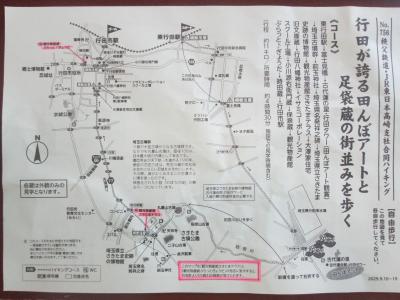 行田で古代蓮と古墳