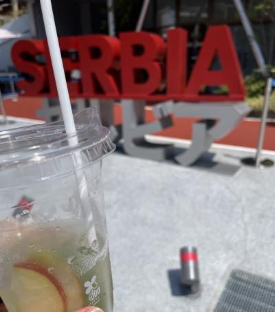 大阪・関西万博お散歩日記⑧　8/26　初西ゲート入場とコモンズＤ館